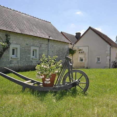 La Ferme Blanche Bed and Breakfast Cussay Esterno foto