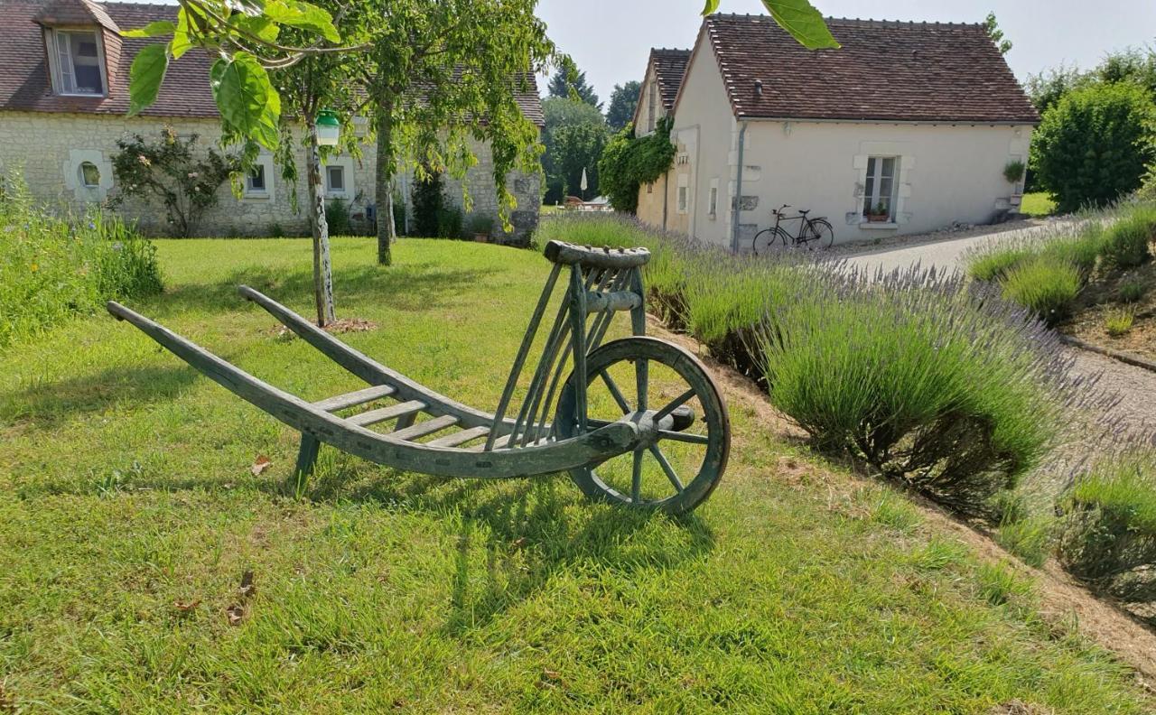 La Ferme Blanche Bed and Breakfast Cussay Esterno foto