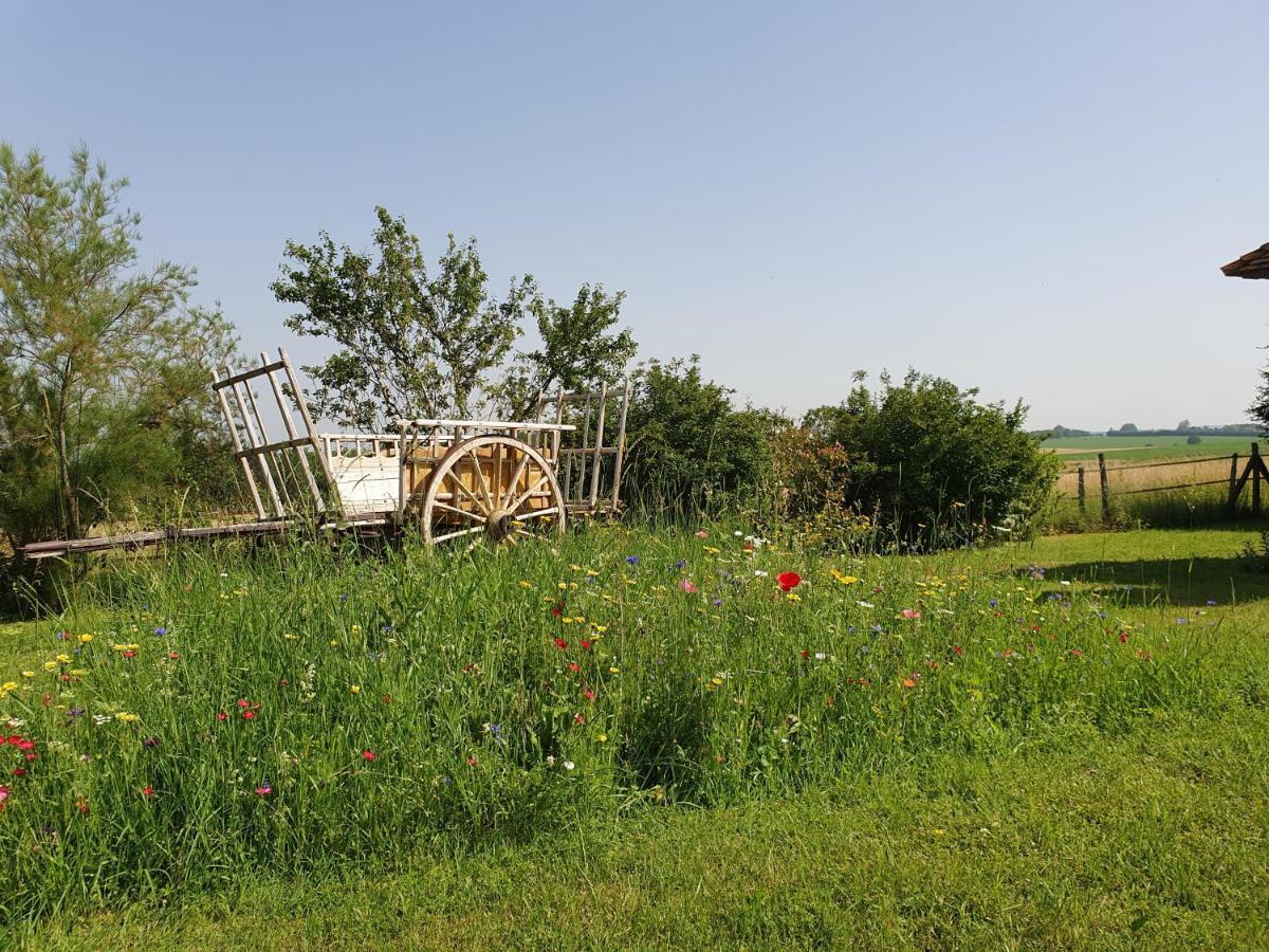 La Ferme Blanche Bed and Breakfast Cussay Esterno foto