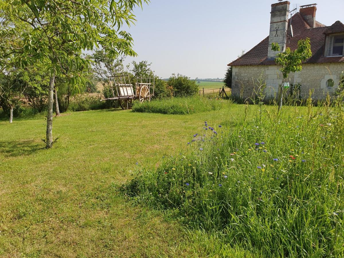 La Ferme Blanche Bed and Breakfast Cussay Esterno foto