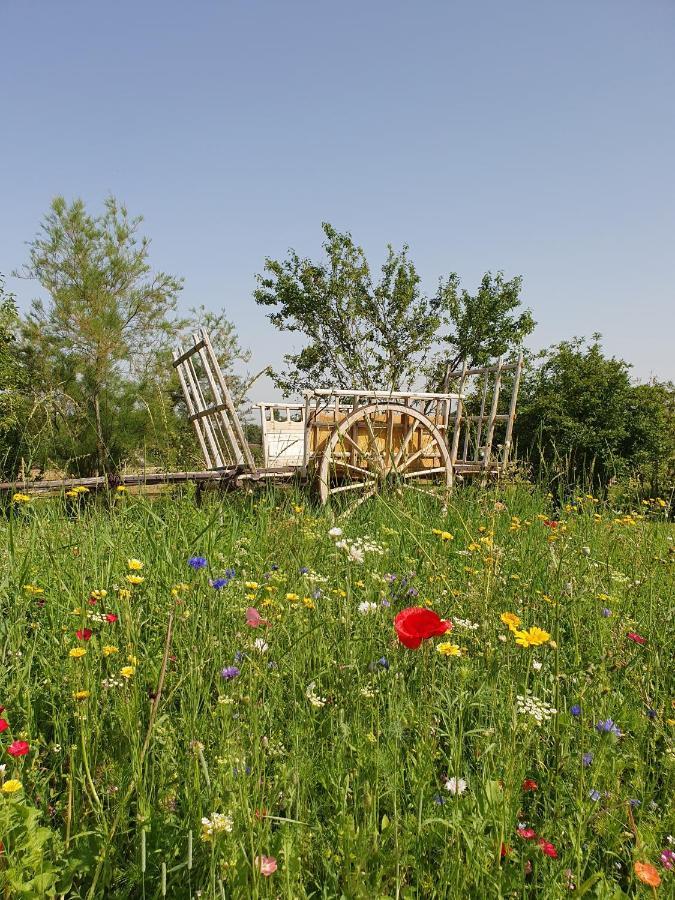 La Ferme Blanche Bed and Breakfast Cussay Esterno foto