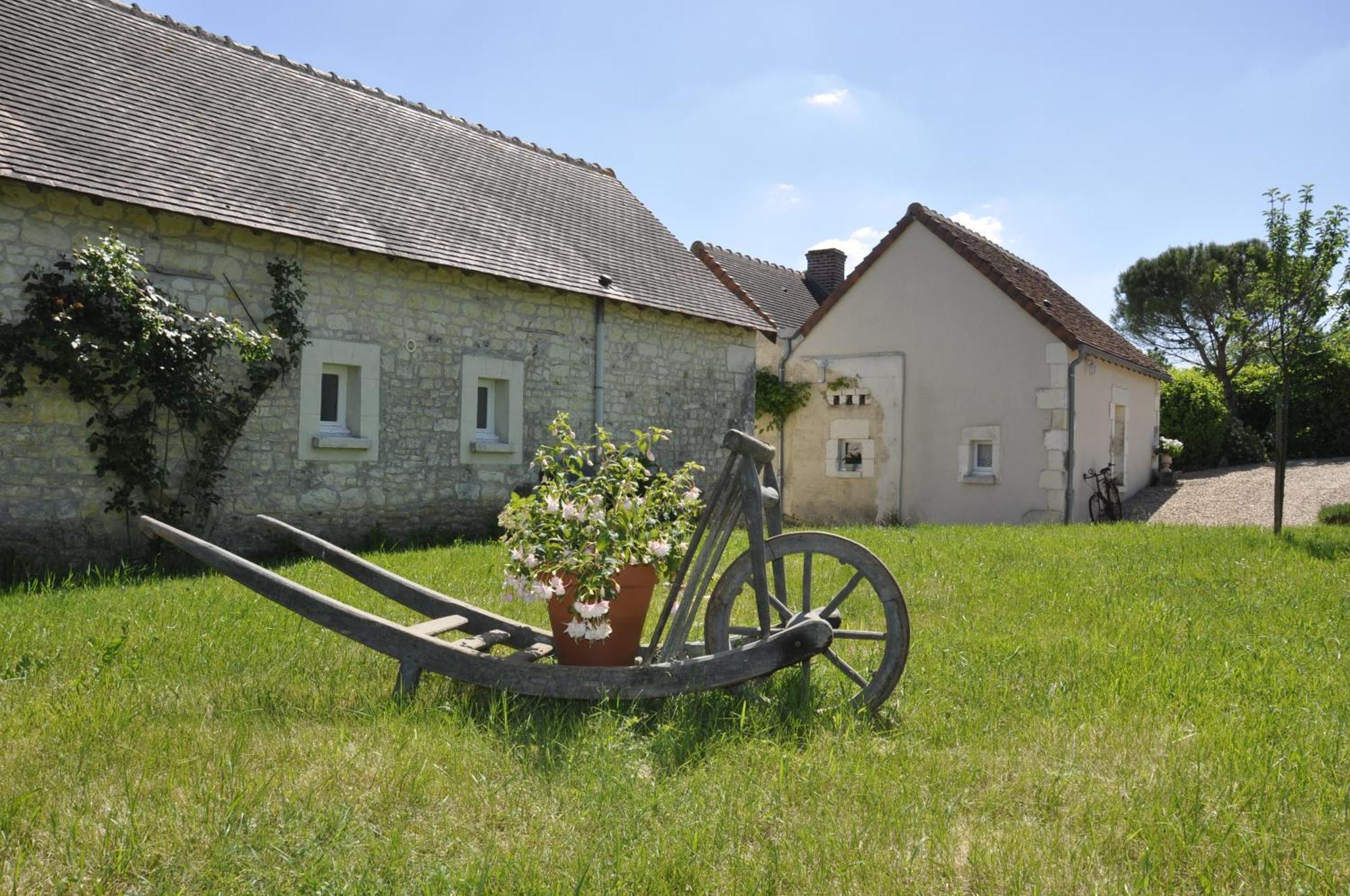 La Ferme Blanche Bed and Breakfast Cussay Esterno foto